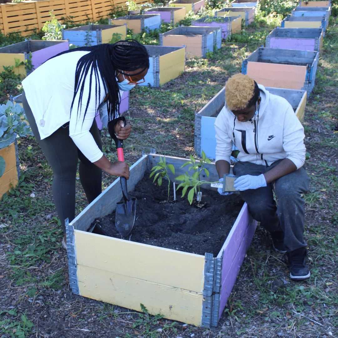 IG Square 1080x1080 - MLK Garden Planting-min